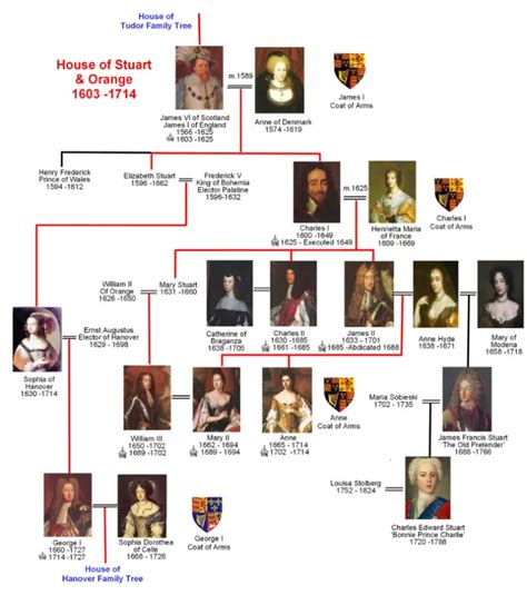 y dna of the stuarts